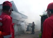 Babinsa Rogotrunan Dampingi Kegiatan Fogging Cegah DBD di Kelurahan Rogotrunan