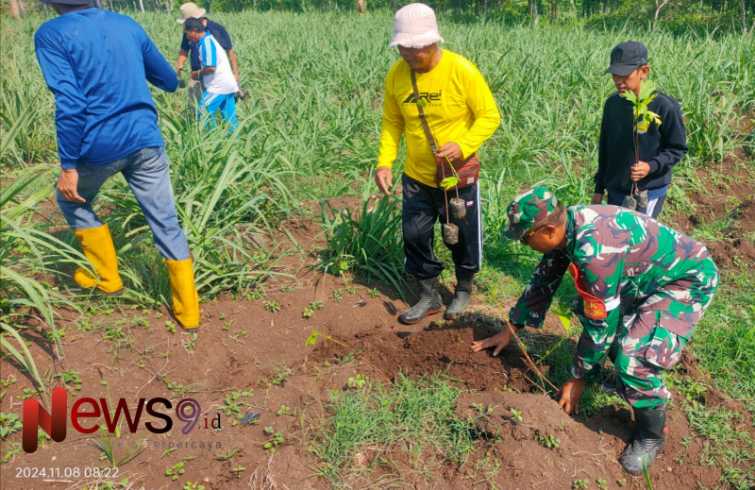 Penghijauan dengan menanam bibit pohon sukun