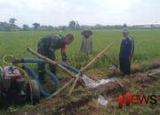 Sinergi TNI dan Petani: Babinsa Gedangmas Bantu Pengairan Lahan Sawah di Poktan Jaya Makmur 