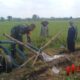 Sertu Lahidi, melaksanakan pendampingan pengairan lahan sawah