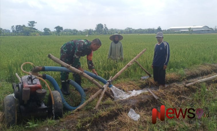 Sertu Lahidi, melaksanakan pendampingan pengairan lahan sawah