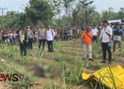 Polres Lumajang Tangkap SHR, Pelaku Pembunuhan di Kebun Tebu Ranuyoso