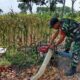 Foto: Sertu Totok Hardianto, melaksanakan pendampingan pengairan lahan jagung, @by_News9.id