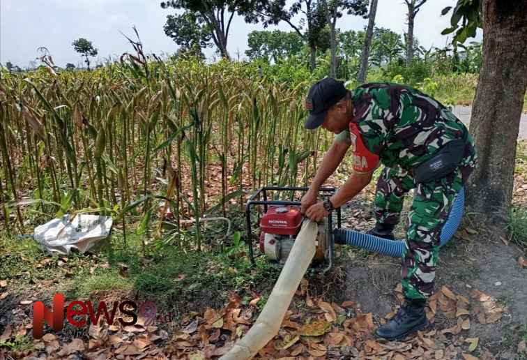 Foto: Sertu Totok Hardianto, melaksanakan pendampingan pengairan lahan jagung, @by_News9.id