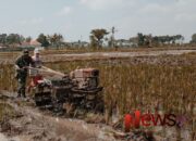TNI dan Petani Bersatu: Babinsa Bantu Pengolahan Lahan Warga Tani di Randuagung