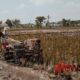 Foto: Pendampingan pengolahan lahan sawah, @by_News9.id