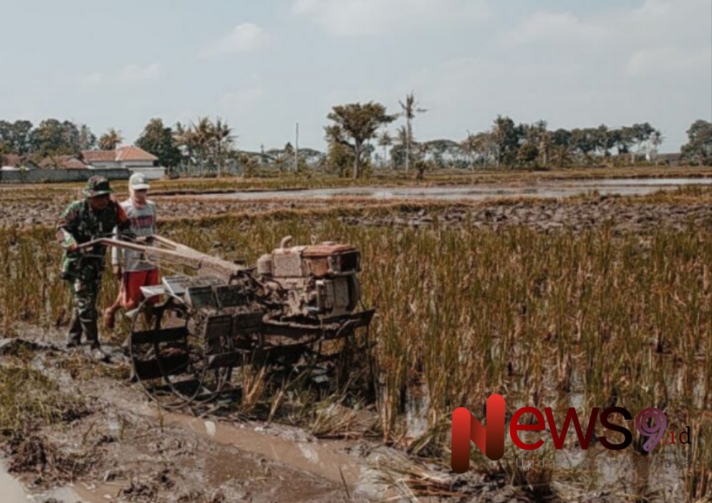 Foto: Pendampingan pengolahan lahan sawah, @by_News9.id