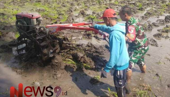 Pendampingan Babinsa Desa Condro, Wujud Dukungan TNI untuk Warga Petani
