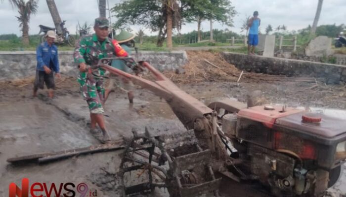 Pendampingan Babinsa: Kolaborasi Tangguh untuk Majukan Pertanian di Lumajang