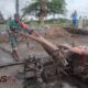 Foto: Serda Bonaji, turun langsung mendampingi pengolahan lahan sawah, @by_News9.id
