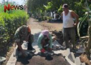 Babinsa Dampingi Pavingisasi Jalan di Dusun Kotokan, Perbaiki Infrastruktur Demi Kesejahteraan Warga