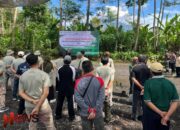 Penanaman Bersama untuk Pelestarian Lingkungan dan Penyerahan Alat Ekonomi Produktif di Wisata Tumpak Sewu