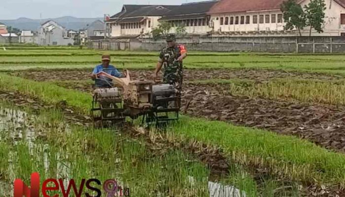 Dampingi Petani, Babinsa Pulo Berikan Motivasi Dalam Meningkatkan Produksi Padi