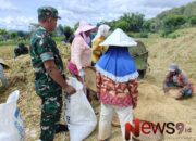 Dukung Swasembada Pangan Lokal, Babinsa Oro Oro Ombo Dampingi Panen Petani