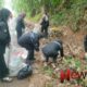 Foto: Badan Eksekutif Mahasiswa (BEM) Stika Al-Hidayah Arjasa menunjukkan kepeduliannya terhadap kelestarian lingkungan, @by_News9.id