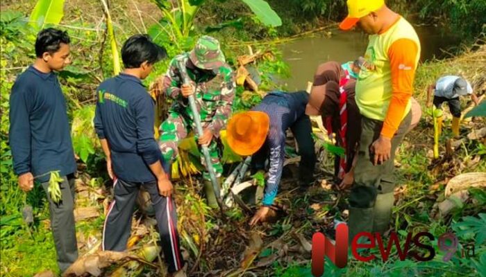 Aksi Hijau di Desa Kutorenon: Babinsa dan Warga Tanam Sukun di Area Sungai Pelosoan 