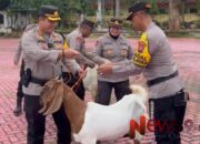 Kapolres Sumenep Distribusikan Kambing ke Polsek Jajaran