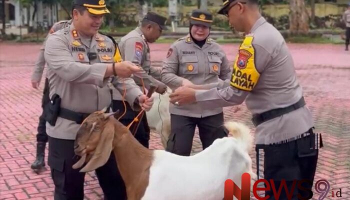 Kapolres Sumenep Distribusikan Kambing ke Polsek Jajaran