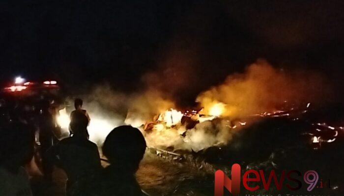 Si Jago Merah Lahap Kandang, 11 Ribu Ayam Mati Terpanggang