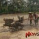 Foto: Serda Ely Sudrajad, melaksanakan pendampingan pengolahan lahan di sawah. @by_News9.id