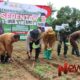 Foto: Forum Komunikasi Pimpinan Daerah (Forkopimda) Kabupaten Sumenep menggelar aksi penanaman jagung bersama di Desa Ellak Daya, @by_News9.id