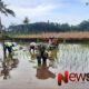 Foto: Koptu Nyono Winardi, melaksanakan pendampingan penanaman padi. @by_News9.id