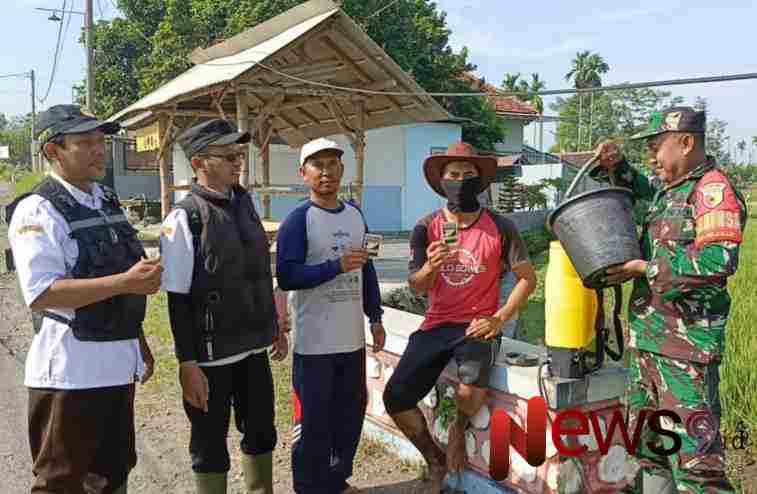 Foto: Sertu Imam Nawawi, melakukan pendampingan dan monitoring penyemprotan. @by_News9.id