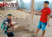 Upaya Babinsa Grobogan Laksanakan silaturahmi ke Peternak Bebek 