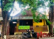 Birokrasi Berbelit, Warga Banyuwangi Kesulitan Tebang Pohon yang Merusak Rumah