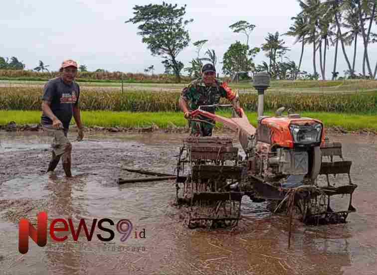 Foto: Serka Zainul Arifin, melaksanakan pendampingan pengolahan lahan sawah. @by_News9.id