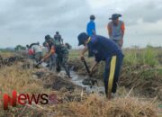 Kolaborasi Babinsa Kedungrejo dan Petani: Saluran Irigasi Perintis Kini Lebih Lancar