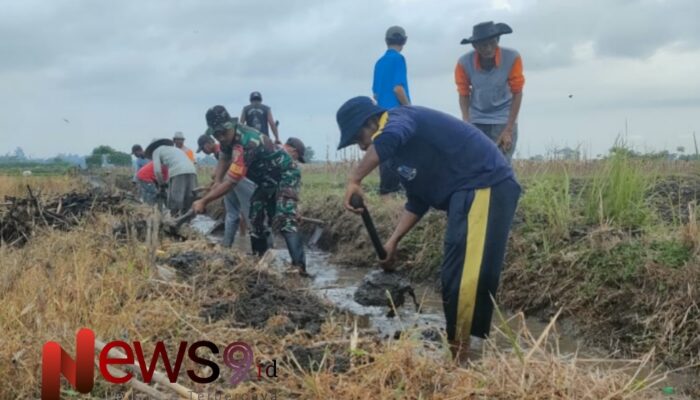 Kolaborasi Babinsa Kedungrejo dan Petani: Saluran Irigasi Perintis Kini Lebih Lancar