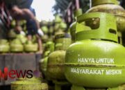 Kelangkaan LPG 3 Kg di Kepulauan Sumenep, Warga Terpaksa Beralih ke Kayu Bakar