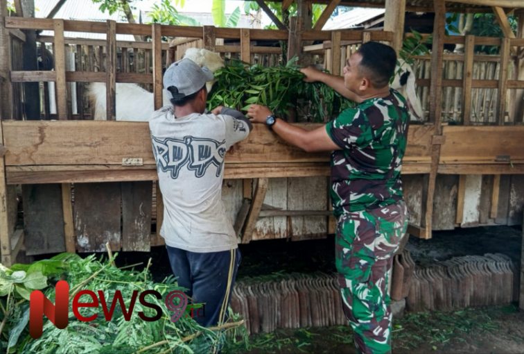 Foto: TNI Manunggal Membangun Desa (TMMD) ke-123 menunjukkan kepedulian terhadap warga. @by_News9.id