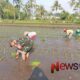 Foto: Sertu Eko Prasetyo, turut serta dalam kegiatan tanam padi bersama petani. @by_News9.id