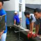 Foto: Lembaga Pemasyarakatan (Lapas) Kelas IIA Banyuwangi berhasil panen ikan lele. @by_News9.id