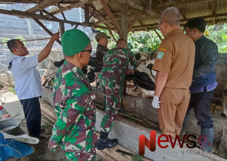 Foto: Letda Inf Iriayanto, turut mendampingi tim medis dalam pelaksanaan penyuntikan hewan ternak. @by_News9.id