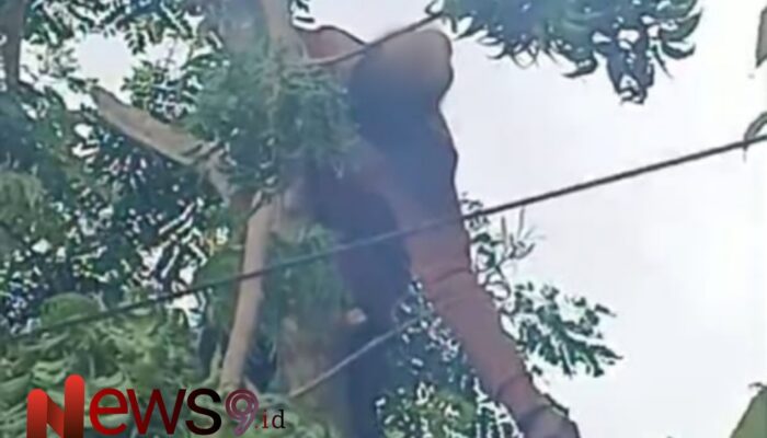 Pria di Sumenep ‘Meninggal’ Tersengat Listrik Saat Cari Pakan Ternak