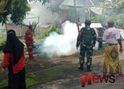 Peran Aktif Babinsa Yosowilangun kidul dalam Pencegahan DBD, Fogging Digelar di Dusun Krajan 