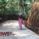 Foto: Jalan penghubung yang menghubungkan Dusun Mlambing dan Dusun Tugu. @by_News9.id