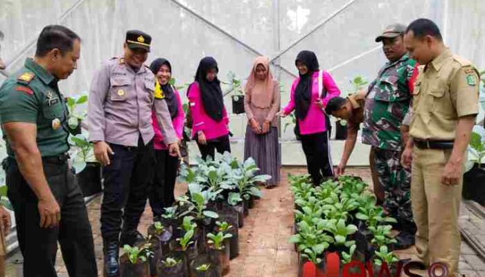 Sinergi Polri dan Warga: Optimalkan Pekarangan untuk Wujudkan Ketahanan Pangan