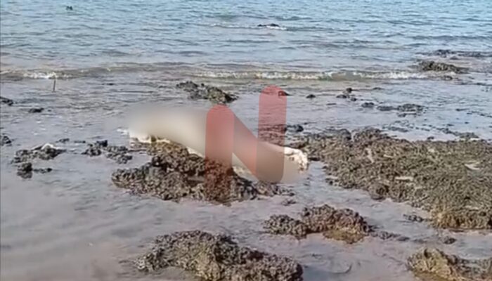 Mayat Tanpa Kepala Gegerkan Warga Poteran Talango