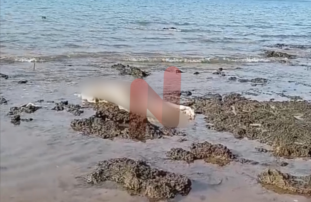 Foto: Sesosok mayat laki-laki terapung di tepi pantai perairan. @by_News9.id