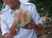 Misteri Mengerikan di Pantai Poteran, Kerangka Kepala Manusia Ditemukan Warga