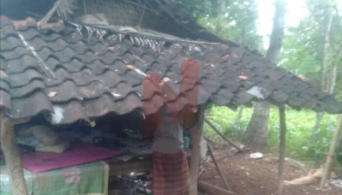 Miris! Warga Tinggal di Gubuk Reyot Dekat Rumah Kades, Bantuan Tak Pernah Menyentuh