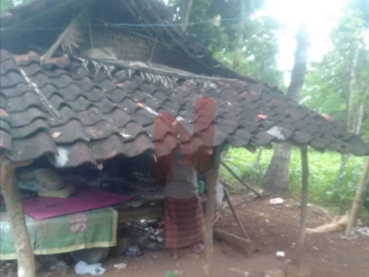 Foto: Kondisi memprihatinkan salah satu warga di Desa Juluk yang hidup dalam gubuk tak layak huni. @by_News9.id
