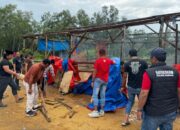 Polres Sampang Bongkar Praktik Judi Sabung Ayam di Kedundung, Bangunan Arena Dibongkar dan Dibakar