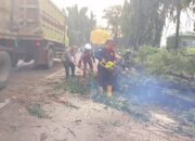 Quick Respons Polsek Babat dan Damkar Babat Singkirkan Pohon Tumbang di Jalur Pantura