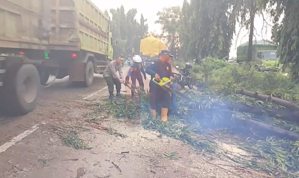 Foto: Polsek Babat, di Bantu anggota Damkar Babat,  saat menyingkirkan pohon tumbang. @by_News9.id