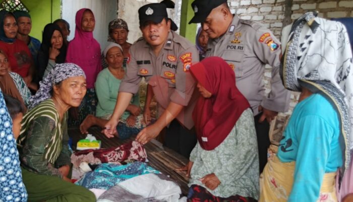 Bayi Prematur Ditemukan dalam Kardus di Tanah Lapang, Polisi Lakukan Penyelidikan